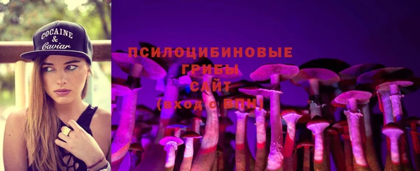 молекула духа Аркадак