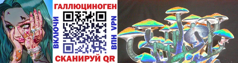 MEGA зеркало  Боготол  Псилоцибиновые грибы Psilocybine cubensis 